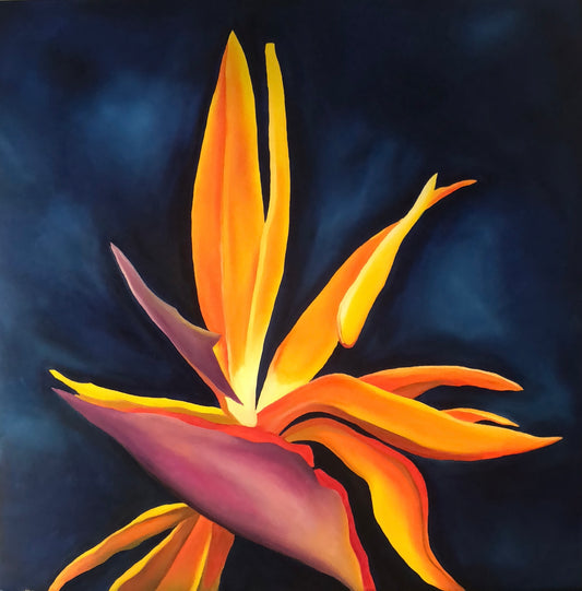 Flor del Paraiso