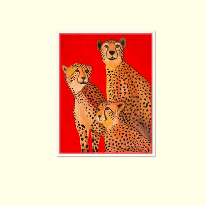 Cheetahs