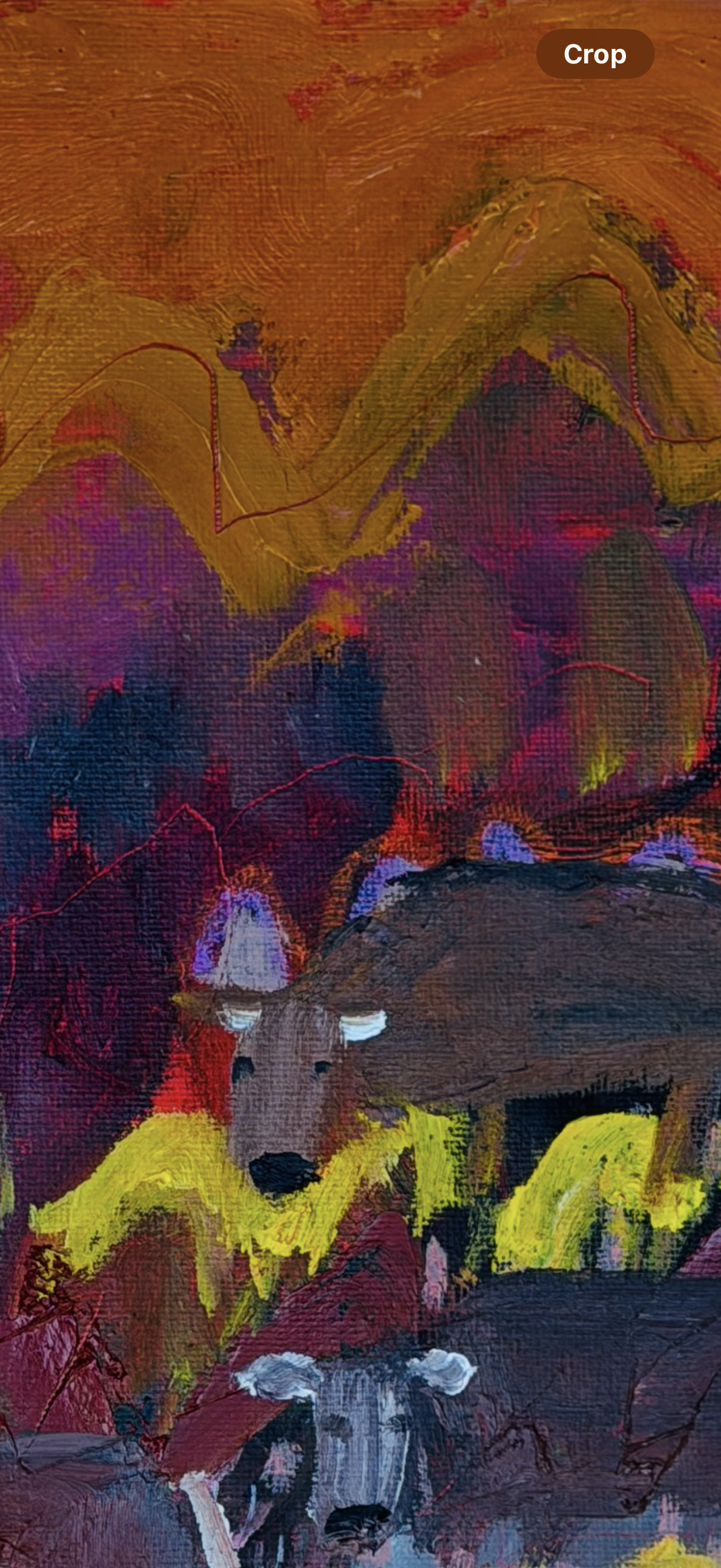 The Cattle