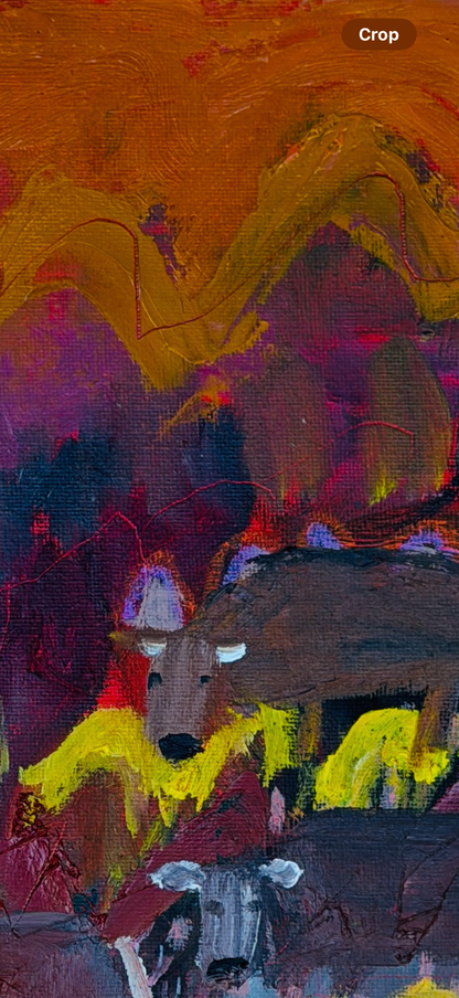 The Cattle