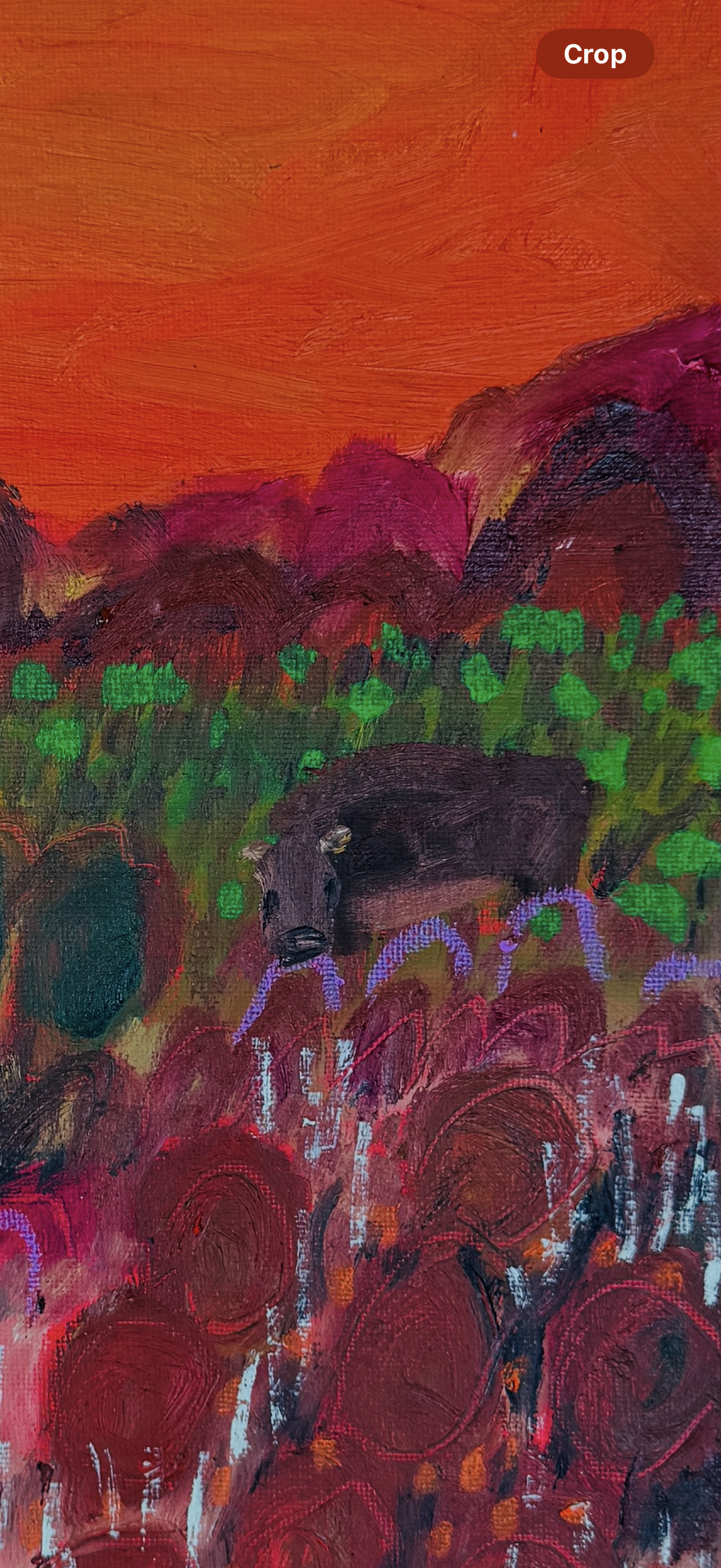 Orange Sky
